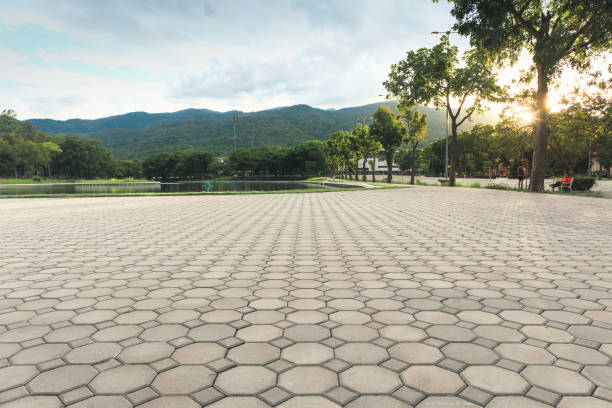 Professional Driveway Pavers in El Rancho, NM